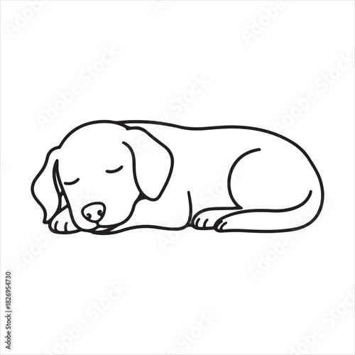 vector illustration of a dog