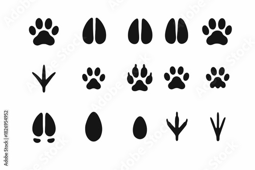 Animal tracks silhouette collection: dog, deer, bird, bear paw patterns