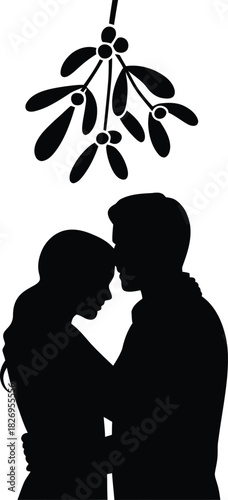 Silhouette couple embracing under mistletoe embrace