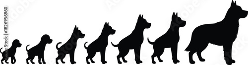 Dog growth stages, puppy to adult, silhouette evolution, pet development, animal lifecycle, black dog shapes, canine transformation, educational illustration