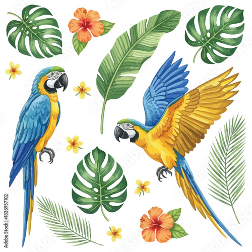Vibrant watercolor illustration of two tropical macaws with lush foliage, hibiscus flowers, and scattered botanical elements on a white background
