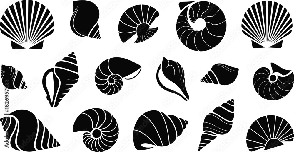 Fototapeta Sea shell silhouettes collection, vector marine icons, scallop, conch and nautilus shapes, ocean nature symbols.