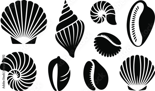 Sea shell silhouettes, vector icon set, marine life symbols, scallop, conch and nautilus shapes.