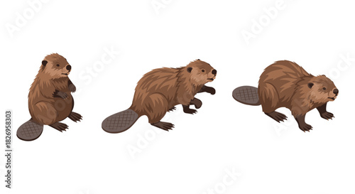 Playful beavers in motion: cute animal cartoon set with variety of poses