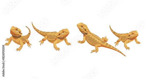 Colorful bearded dragon illustrations showcasing reptilian charm in various poses