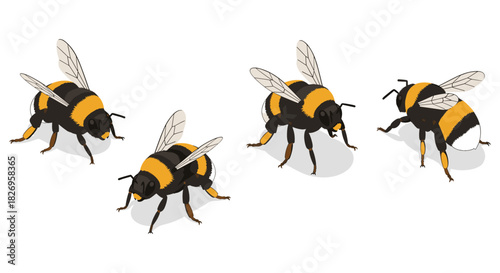 Detailed bumblebee collection in isometric style with shadow effects