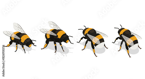 Realistic honey bees set with shadows on white background for nature and entomology designs