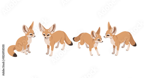 Cute fennec foxes with large ears in various poses on white background
