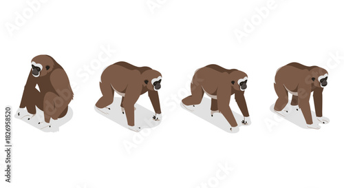 Gibbon walk cycle in flat style with four sequential poses on white background