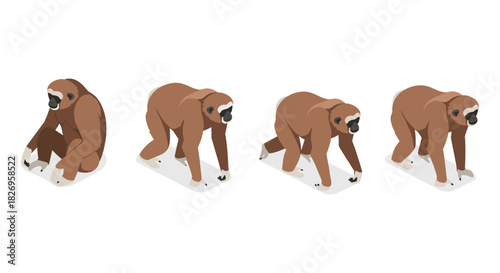 Isometric gibbon walking sequence on white background