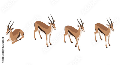 Antelope in various poses: detailed wildlife depictions in flat style