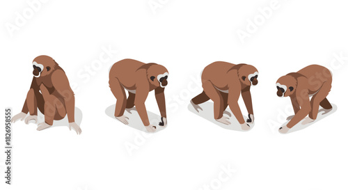 Isometric gibbon movement sequence on white background