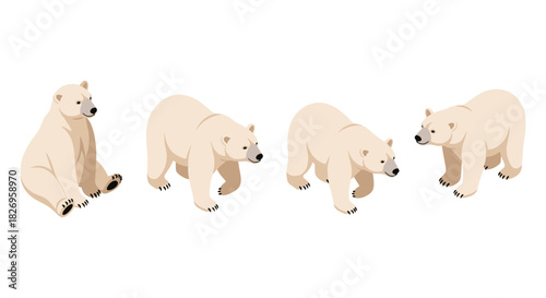 Polar bear poses set in minimalistic style for design projects