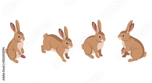 Cute cartoon rabbits in various poses on white background