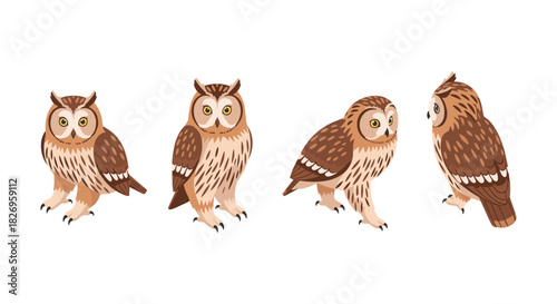 Cartoon owls in different poses set on white background