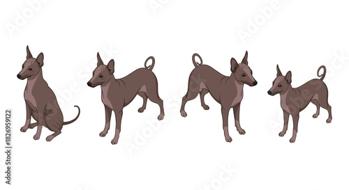 Doberman guard dog icon. Flat style.