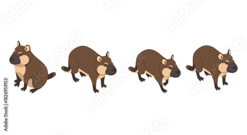 Cute cartoon wombat set in various poses with white background