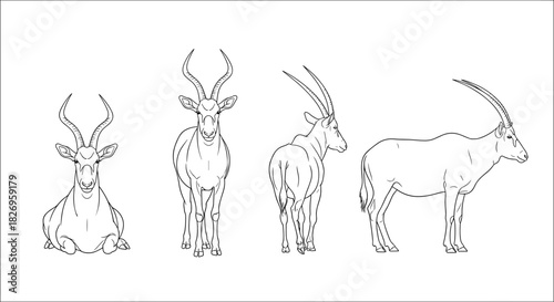 Antelope outline art collection featuring various poses and styles