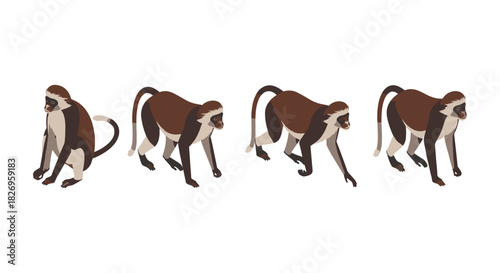 Isometric monkey movement sequence on white background