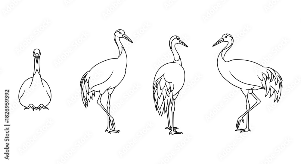 Obraz premium Elegant bird silhouette collection: graceful line art of standing cranes