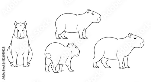 Capybara line art: simple silhouette of south america's largest rodent