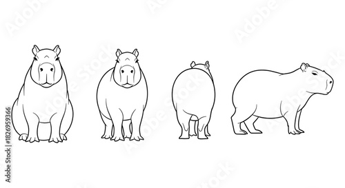 Hippo and capybara outline view from different angles