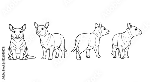 Outline drawing of capybara in various poses on white background