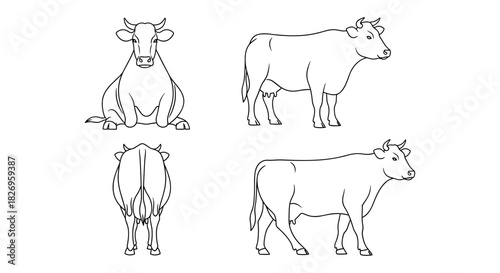 Set of simple linear cow drawings in various poses for design projects