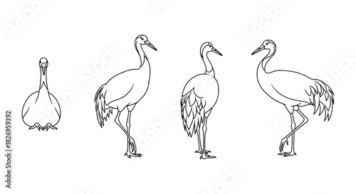 Elegant bird silhouette collection: graceful line art of standing cranes