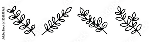 Black and white botanical illustration of floral sprigs and leaves for design and decoration use