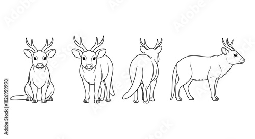 Deer character design with four views for animation and modeling
