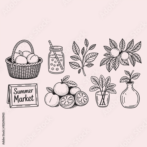 Summer Market Icons Line Art with Fruit Basket and Oranges drawing