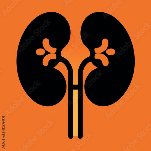 Human Kidney Icon Vector: Organ Health, Urology, Nephrology, and Medical Care Symbol