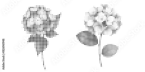 Halftone flowers, hydrangea illustration, vector style, dotted shading, clean lines, modern floral design, high-contrast halftone texture, stylized botanical look.