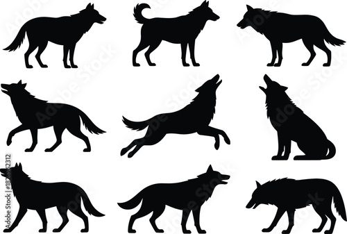Wolf silhouettes in different poses, wild animal shapes, howling and walking wolves, nature wildlife, forest predators, canine pack illustrations, outdoor wildlife