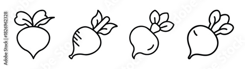 Radish vegetable drawing vector, radish illustration, radish outline, radish clip art, fresh radish art