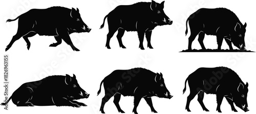 WebWild boar silhouette illustration, black and white boar vector, forest animal clipart, wild pig drawing, boar wildlife graphic design artwork
