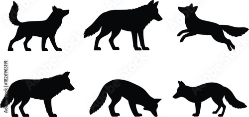 Wild fox and wolf animal silhouettes, walking, standing, jumping and sniffing poses, vector black icons, isolated wildlife illustration, nature design