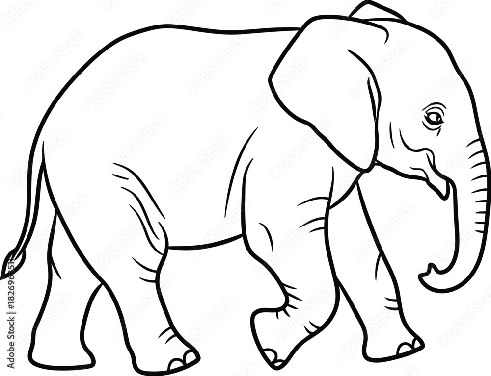 Obraz premium Simple black and line drawing illustration of an elephant walking