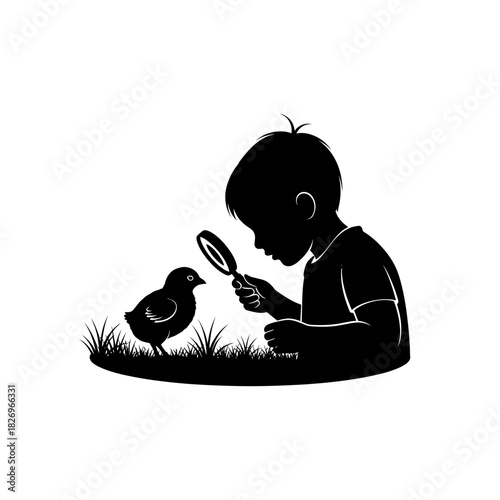 Curious Dynamic Action Silhouette of a Child Intently Studying a Small Chick Nature
