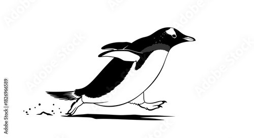 Active Gentoo Penguin Running Across Snowy Terrain on the Antarctic Peninsula Wildlife