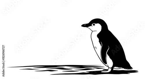Small Little Penguin Silhouetted Against the Waves on an Australian Shore Wildlife
