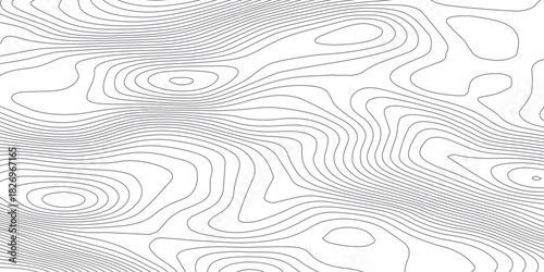 Smooth Curved Topography Lines. Abstract Elevation Contour Background Vector.