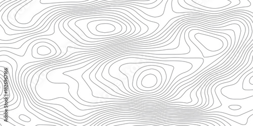 Smooth Curved Topography Lines. Abstract Elevation Contour Background Vector.
