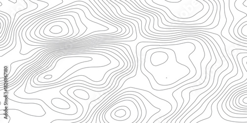 Smooth Curved Topography Lines. Abstract Elevation Contour Background Vector.