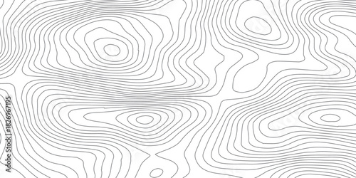 Smooth Curved Topography Lines. Abstract Elevation Contour Background Vector.
