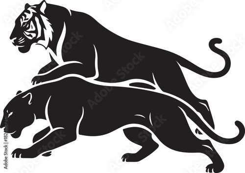 Powerful silhouette of a tiger and panther stalking together in dynamic motion