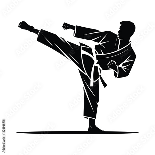 Karate Master Silhouette in Action Martial Arts Power Athlete Vector Art Fighter Sport Fighting Stance Kick Training Defense Motion Combat Practice