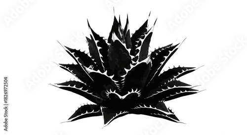 Dramatic Agave Plant Illustration in Monochrome, Exuding Sharpness and Resilience