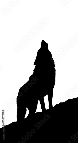 Silhouette of a Howling Wolf Against a White Background Emphasizing Wilderness